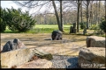 Britzer Garten (Berlin Neukölln)
