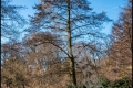Kienhorstpark (Berlin Reinickendorf) Kienhorstpark (Berlin Reinickendorf)