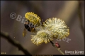 Kienhorstpark (Berlin Reinickendorf) Kienhorstpark (Berlin Reinickendorf)