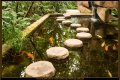 Botanischer Garten Berlin Botanischer Garten Berlin