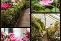 Botanischer Garten Berlin Botanischer Garten Berlin