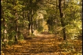 Volkspark Rehberge (Bezirk Mitte)