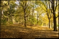 Volkspark Rehberge (Bezirk Mitte)
