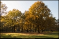 Volkspark Rehberge (Bezirk Mitte)