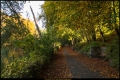 Volkspark Rehberge (Bezirk Mitte)