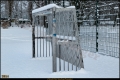 Kienhorstpark im Schnee Kienhorstpark im Schnee