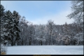 Kienhorstpark im Schnee Kienhorstpark im Schnee