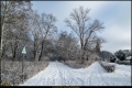 Kienhorstpark im Schnee Kienhorstpark im Schnee