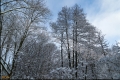 Kienhorstpark im Schnee Kienhorstpark im Schnee