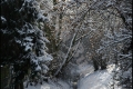 Kienhorstpark im Schnee