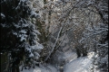 Kienhorstpark im Schnee Kienhorstpark im Schnee
