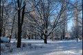 Kienhorstpark im Schnee