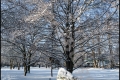 Kienhorstpark im Schnee Kienhorstpark im Schnee