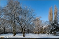 Kienhorstpark im Schnee Kienhorstpark im Schnee