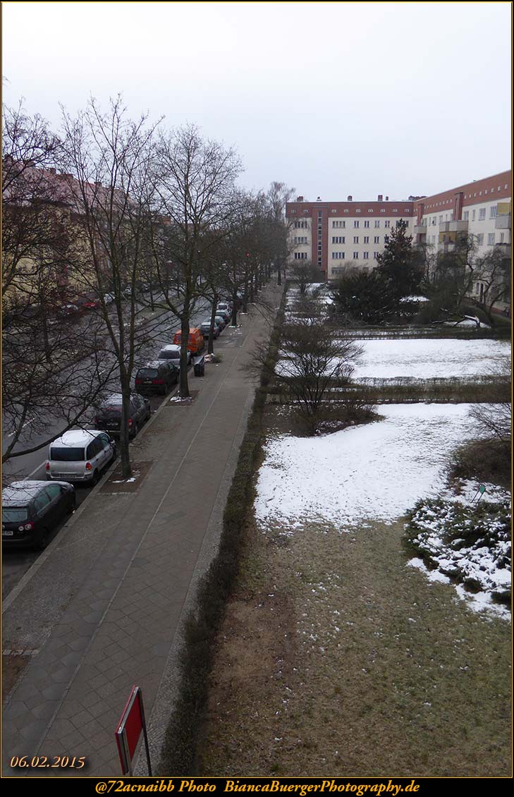 20150206_090405_P1010110_TZ61_25