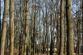 Rathauspark (Bezirk Reinickendorf)