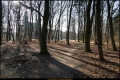 Rathauspark (Bezirk Reinickendorf)