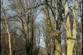 Triftpark (Berlin Reinickendorf)