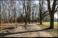 Triftpark (Berlin Reinickendorf)