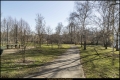 Österreichpark (Bezirk Charlottenburg-Wilmersdorf)