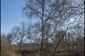 Österreichpark (Bezirk Charlottenburg-Wilmersdorf)