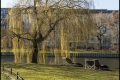 Österreichpark (Bezirk Charlottenburg-Wilmersdorf)