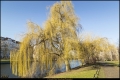 Österreichpark (Bezirk Charlottenburg-Wilmersdorf)
