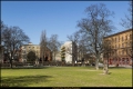 Alt-Lietzow (Bezirk Charlottenburg-Wilmersdorf)