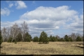 Schönower Heide (Naturpark Barnim)