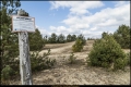Schönower Heide (Naturpark Barnim)
