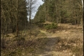 Hubertussee/Frohnauer Forst (Bezirk Reinickendorf)