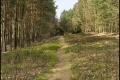 Hubertussee/Frohnauer Forst (Bezirk Reinickendorf)