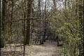 Hubertussee/Frohnauer Forst (Bezirk Reinickendorf)