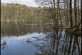 Hubertussee/Frohnauer Forst (Bezirk Reinickendorf)