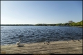 Tegeler See (Berlin-Reinickendorf) Tegeler See (Berlin-Reinickendorf)