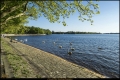 Tegeler See (Berlin-Reinickendorf) Tegeler See (Berlin-Reinickendorf)
