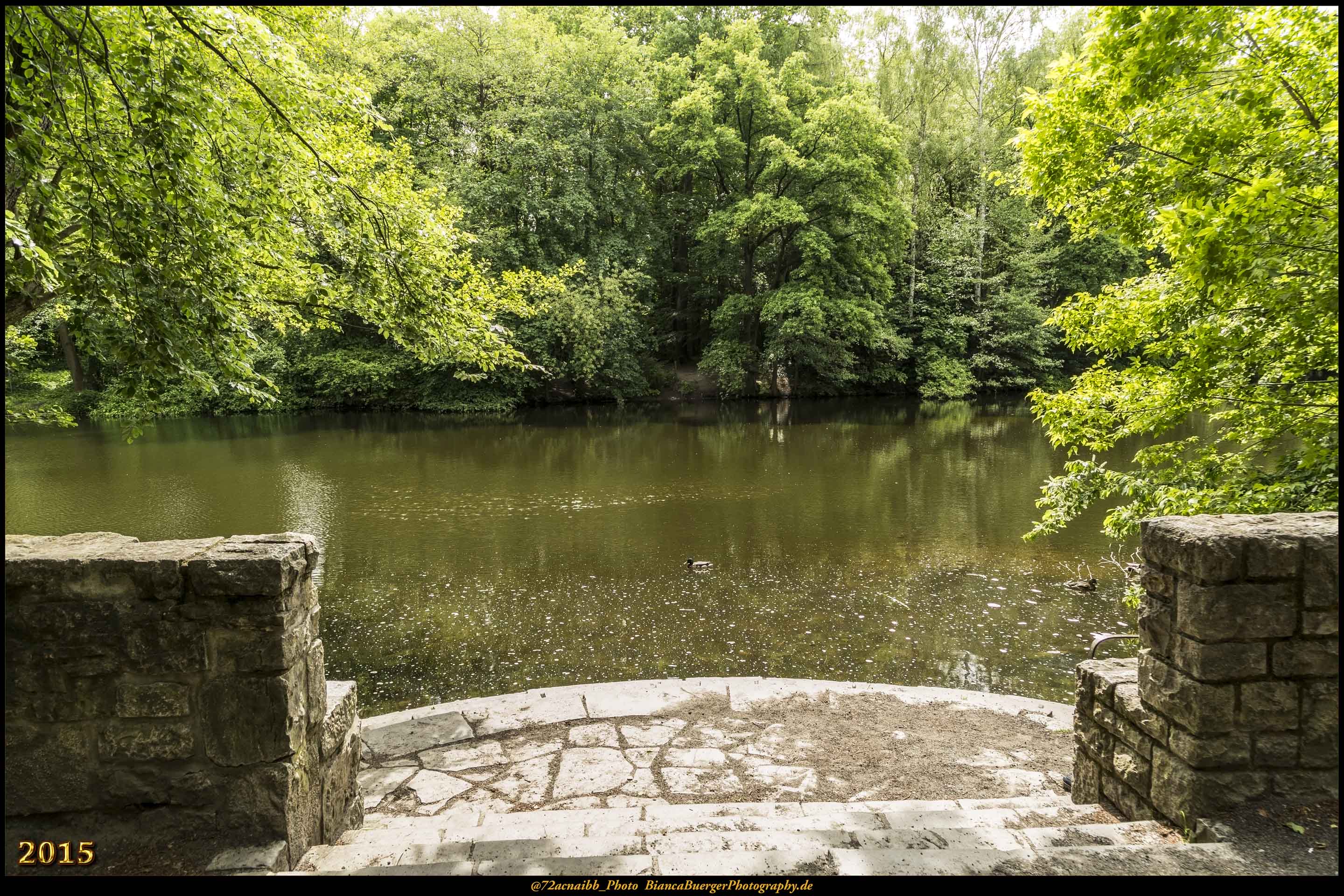 Steinbergpark (Bezirk Reinickendorf) | Bianca Bürger - Fotografie