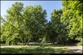 Lietzenseepark (Bezirk Charlottenburg-Wilmersdorf)
