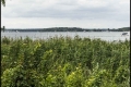 Vom Wannsee nach Alt-Kladow