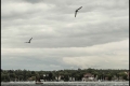 Vom Wannsee nach Alt-Kladow
