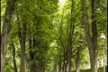 Vom Wannsee nach Alt-Kladow