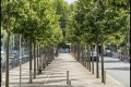 Vom Wannsee nach Alt-Kladow