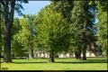 Schloss Schönhausen (Bezirk Pankow) Schloss Schönhausen (Bezirk Pankow)