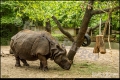 Abendführung im Zoo Berlin (Sehenswürdigkeit)