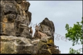 Abendführung im Zoo Berlin (Sehenswürdigkeit)