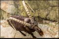 Abendführung im Zoo Berlin (Sehenswürdigkeit)