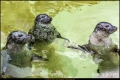Abendführung im Zoo Berlin (Sehenswürdigkeit)