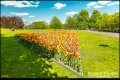 Britzer Garten (Bezirk Neukölln)