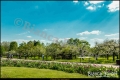 Britzer Garten (Bezirk Neukölln)