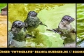 Instagram-Veröffentlichung am 16.08.2016 Instagram-Veröffentlichung am 16.08.2016